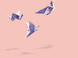 veelgestelde vragen over incasso