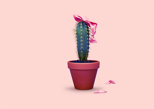 corona alimentatie check