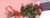 TEN Beeld Valentijn_website